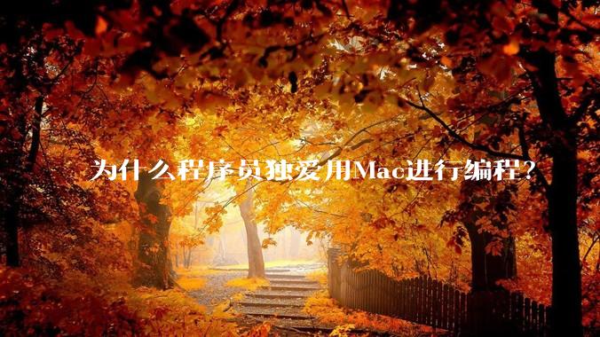 为什么程序员独爱用Mac进行编程？