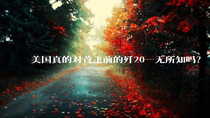 美国真的对首飞前的歼20一无所知吗？